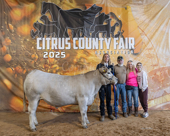 Steers #21