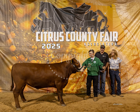Steers #65