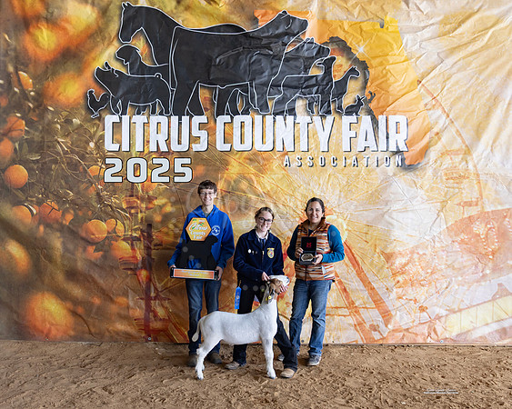 Market Goat Grand Champion