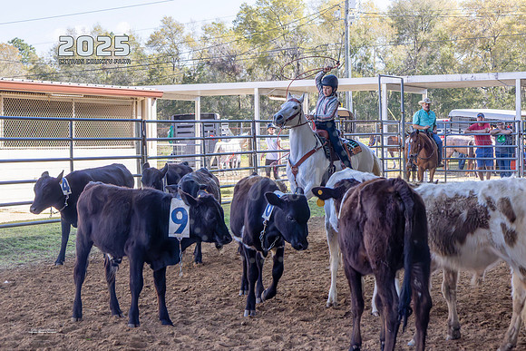 Horses 8