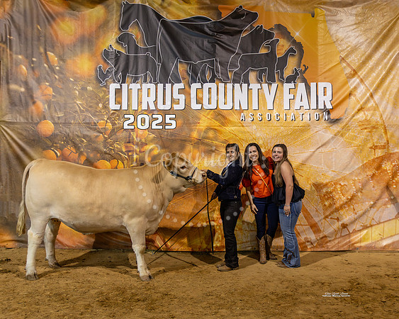 Steers #54