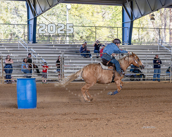 Horses 2