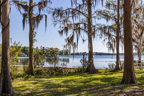 View from Wallace Brooks Park