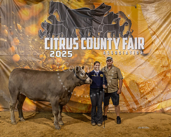 Steers #55