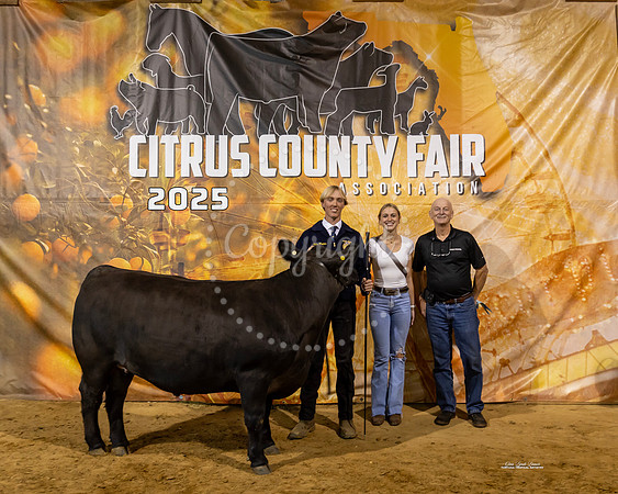 Steers #51