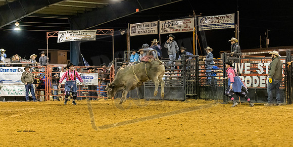 Bulls 2