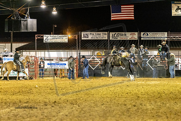 Rodeo 2