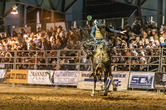 Rodeo 3