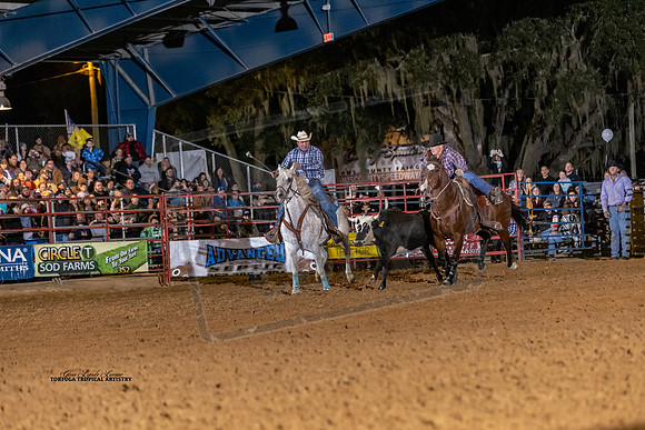 Rodeo 6
