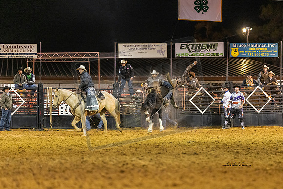 Rodeo 10