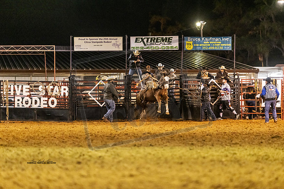 Rodeo 11