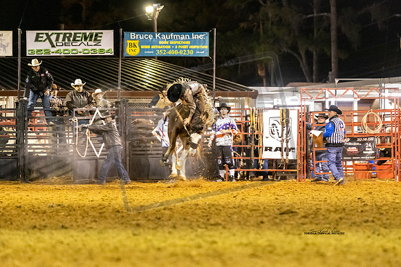 Rodeo 12