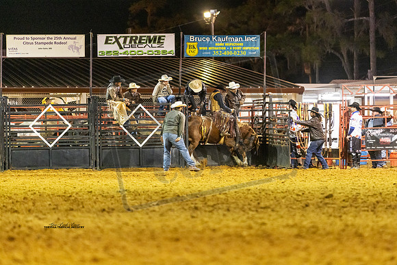 Rodeo 14