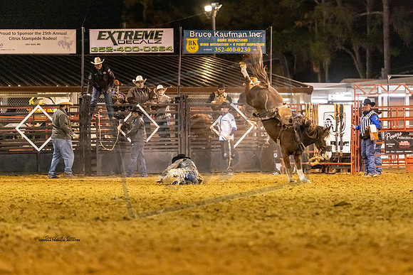 Rodeo 13
