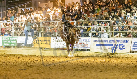 Rodeo 15