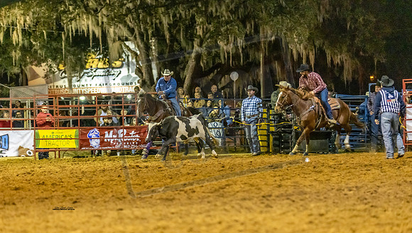Rodeo 20