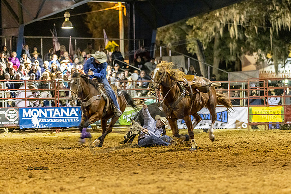 Rodeo 19