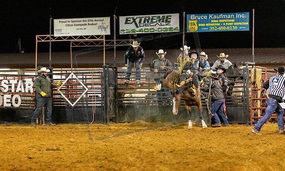 Rodeo 22