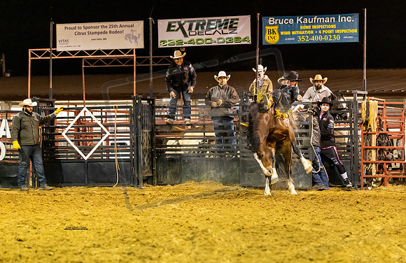 Rodeo 24