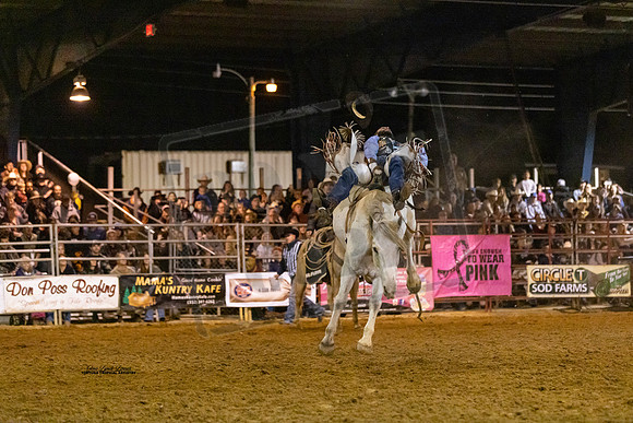 Rodeo 29