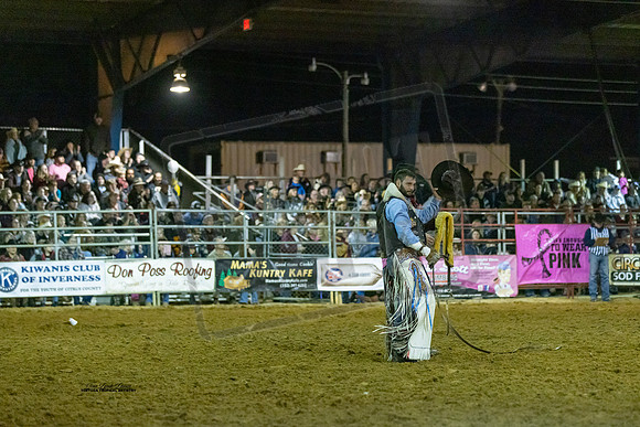 Rodeo 31