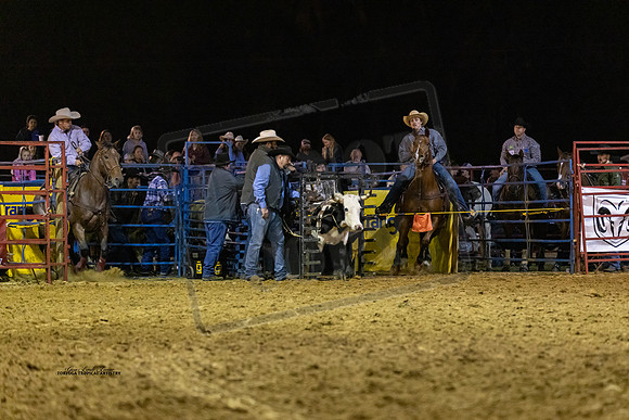 Rodeo 36