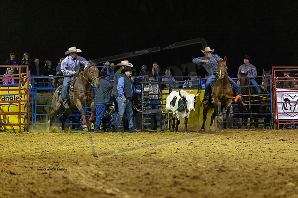 Rodeo 35