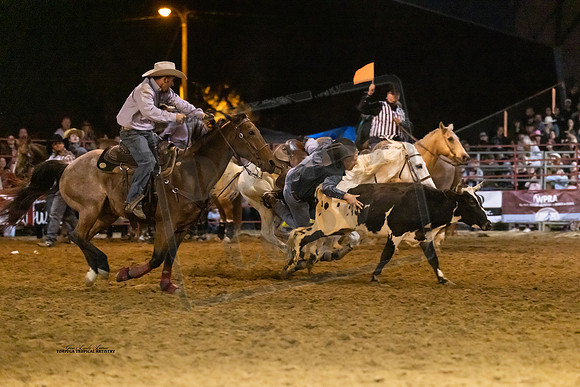 Rodeo 40