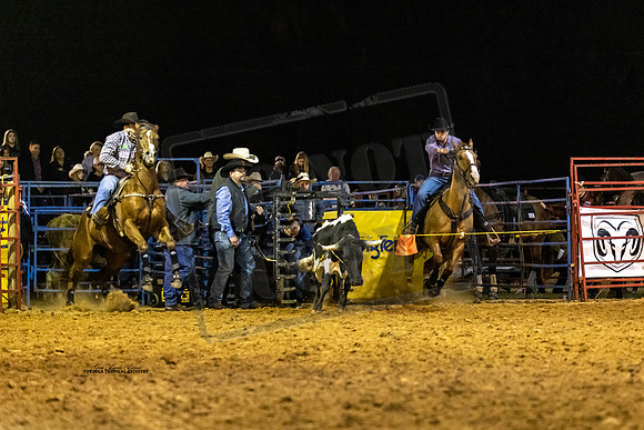 Rodeo 41