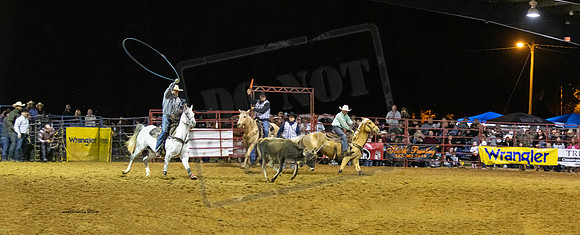 Rodeo 45