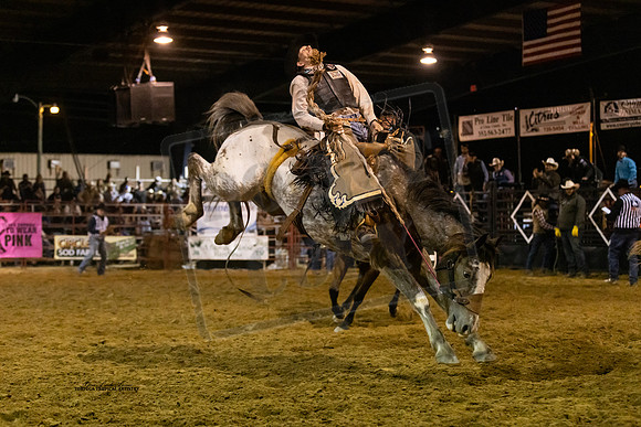 Rodeo 49