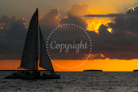 IntoTheSunset