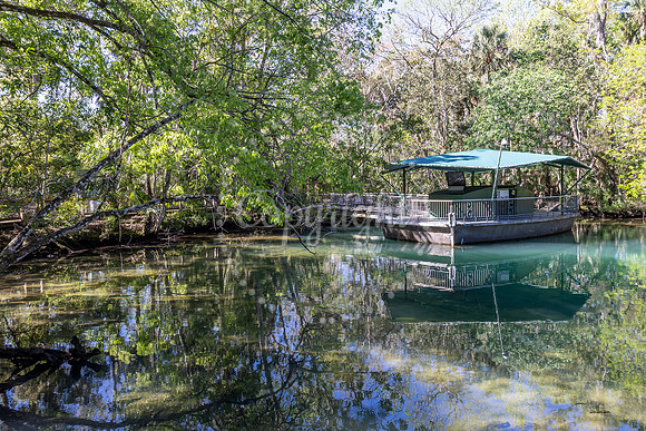 Homosassa Fish Bowl