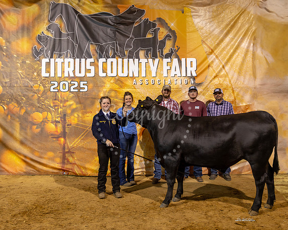 Steers #60