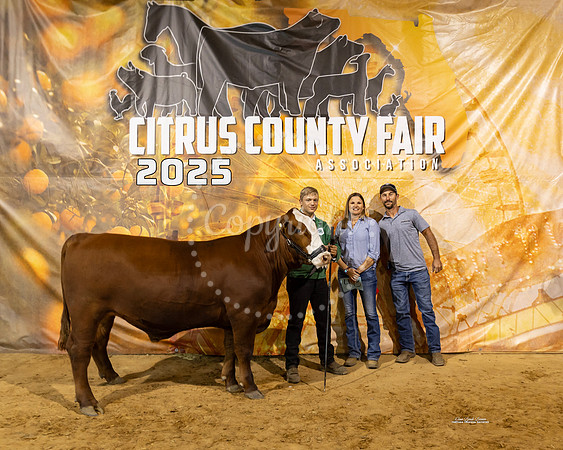 Steers #35