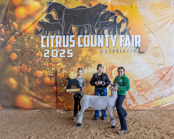 Market Lamb Grand Champion