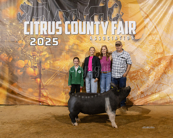 #158 Swine