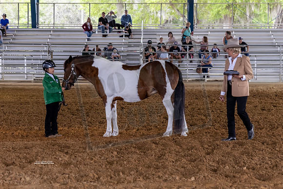 Horse Show #8