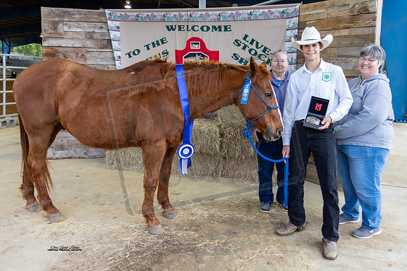 Open Hi-Point Ranch Class