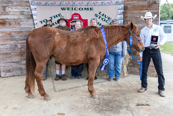 Sr Hi-Point Ranch Class