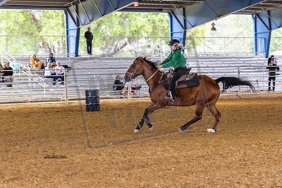Horse Show #11