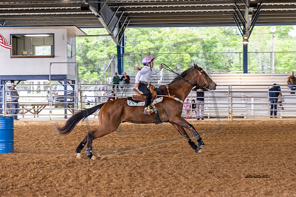 Horse Show #9