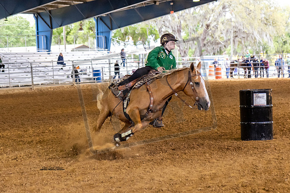 Horse Show #13