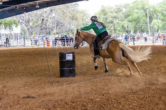 Horse Show #12