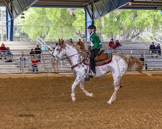 Horse Show #15