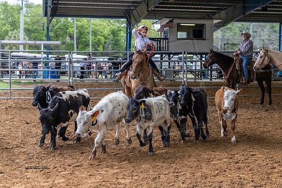 Horse Show #17