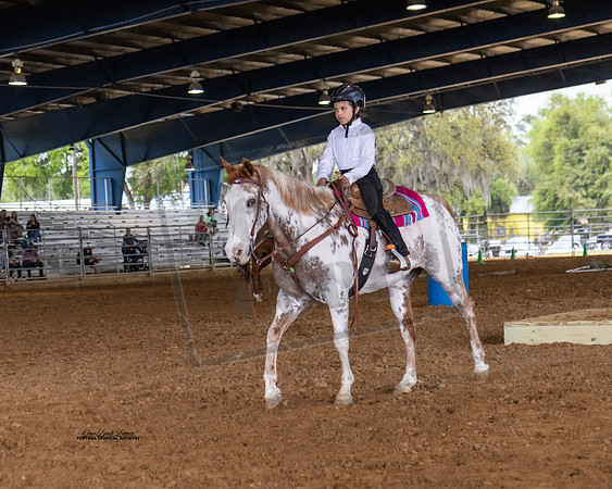 Horse Show #16
