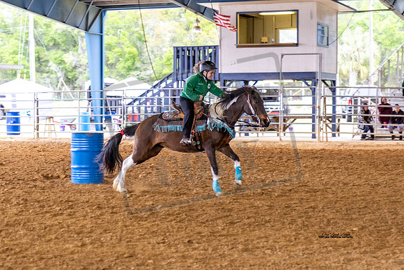Horse Show #14