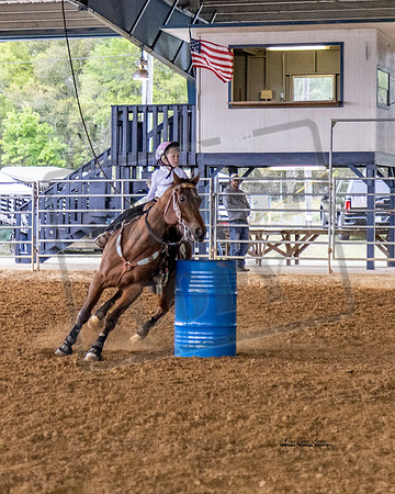 Horse Show #10