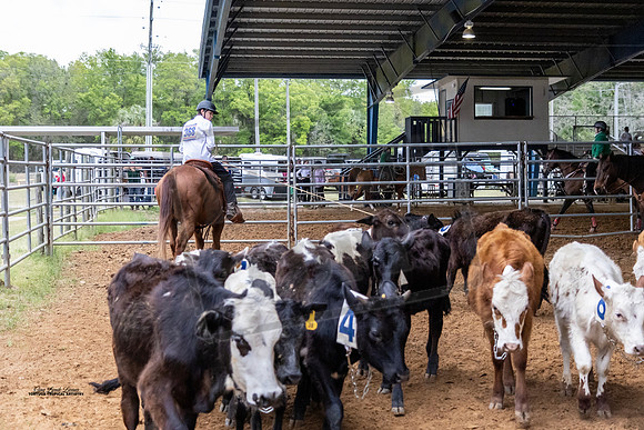 Horse Show #21